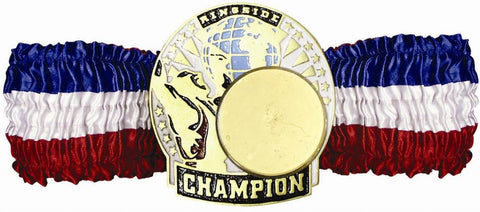 CHAMPION BELT