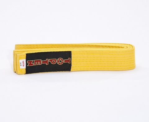 Martial Arts TOP TEN belt